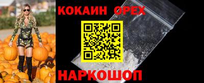 гидропоника Новокубанск