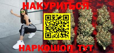 дмт Новодвинск
