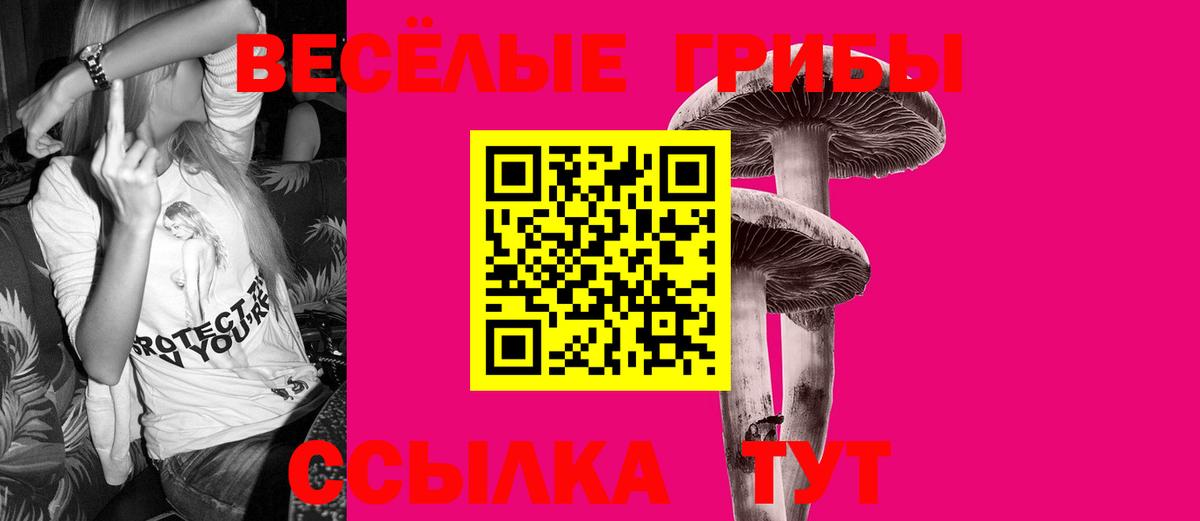Северск  Псилоцибиновые грибы GOLDEN TEACHER  Вход с VPN 